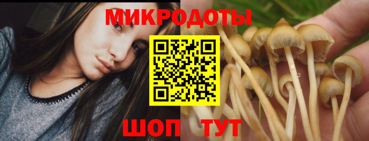 Галлюциногенные грибы MAGIC MUSHROOMS Кропоткин